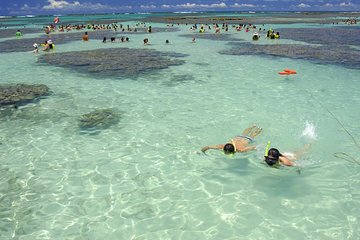 Maragogi Beach Gales Reef