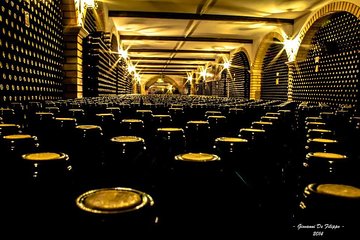 Wine tour and Tasting in Nocciano