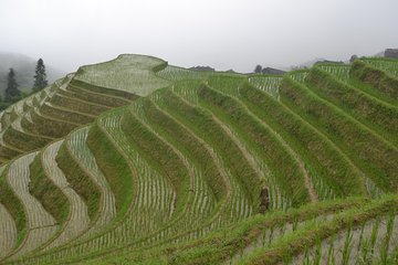 One Day Private Longshen Rice Terraces Tour Including Lunch