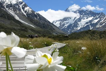 Mount Cook Day tour from Christchurch