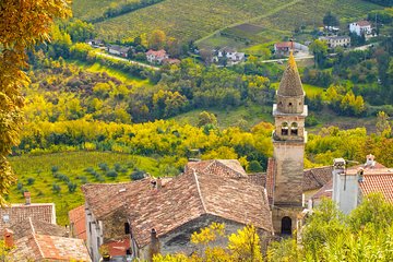 Half day trip to Motovun with Truffle and Local Brandies Tasting