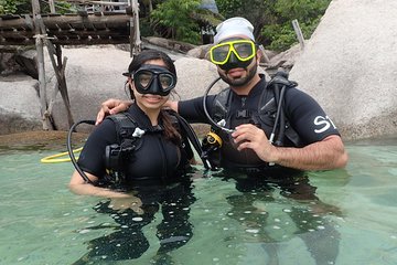 PADI Discover Scuba Diving in Koh Tao - half day and two dives