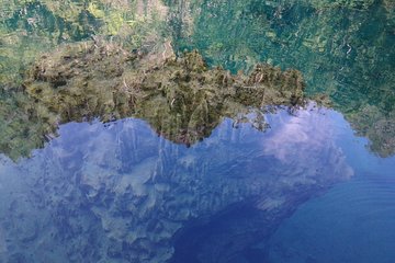 Coron Reef and Wreck Tour D