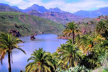 Firgas, Tejeda, Guayadeque - VIP Tour Gran Canaria