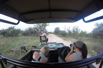 6 Day Classic Kruger National Park Safari from Johannesburg