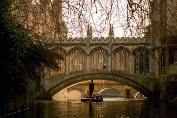 Shared Punting Tour in Cambridge