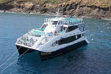 From Ma'alaea Harbor, Maui: Molokini Snorkeling Adventure Aboard Calypso 