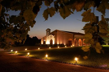 Bouza Winery only Lunch (Esp, Eng, Port)