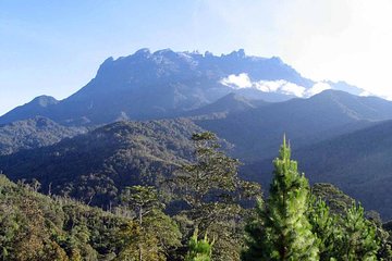 Kinabalu Park & Poring Hot Spring Tour