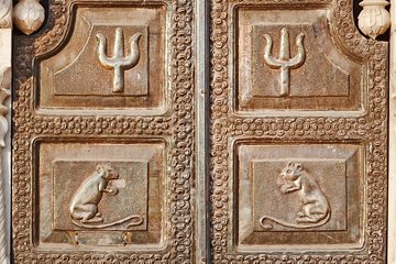 Karni Mata Temple (A Unique Rat Temple) Near Bikaner