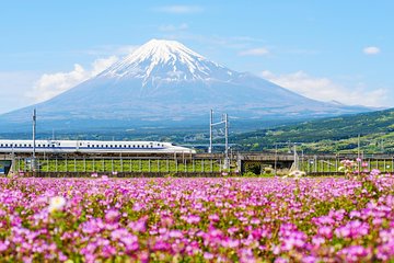 Bullet Train and Mt. Fuji Famous Food Tour