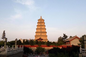 Half-Day Private City Tour of Shaanxi History Museum and Big Wild Goose Pagoda