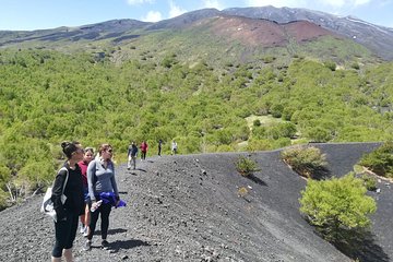 Mount Etna Half-Day Tour - Small Groups From Taormina