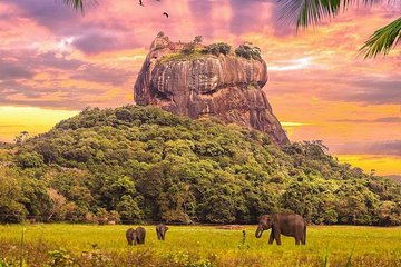 Kandy to Sigiriya Day Tour and Dambulla cave temple with private vehicle