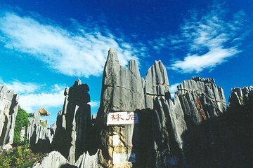 Private Day Tour: Kunming Highlight of Stone Forest