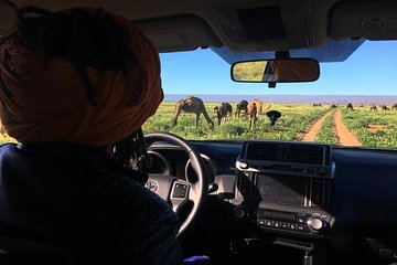 Chigaga Dunes 4x4 Safari,Sand boarding,Camel Riding,Day Trip from M'Hamid