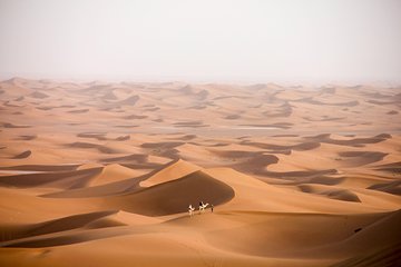 Sentiments of the Sahara, 4 days and 3 nights in the desert of M'Hamid