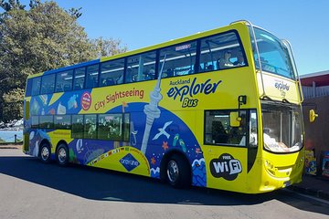 Auckland Explorer: Hop-on Hop-off Tour 