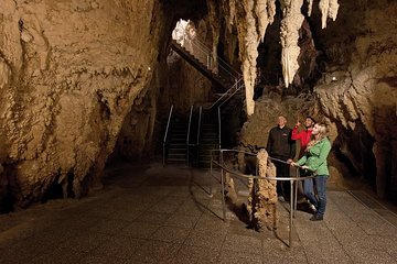 Tauranga Shore Excursion: Waitomo Caves and The Kiwi House