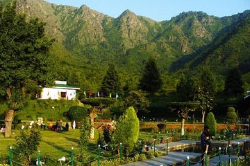 Full day tour of Srinagar with Entrance Fee & Guide