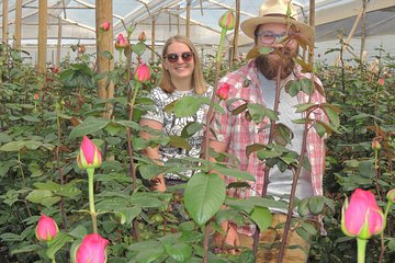 Rose Plantation, Equator Line and Otavalo Market Private Tour