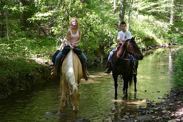 Horseback Riding Experience in Marmaris