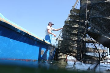 Highlights of Sète : history, food and wine experience