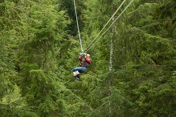 Rainforest Zip, Skybridge & Rappel Adventure in Ketchikan, AK