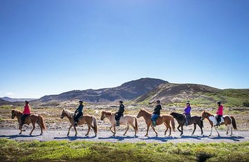 Icelandic Horseback Riding Tour from Reykjavik