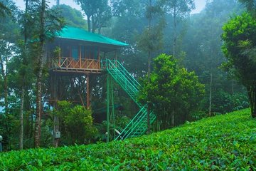 2 Nights Munnar Treehouse Escape with Private Car- Iris Holidays