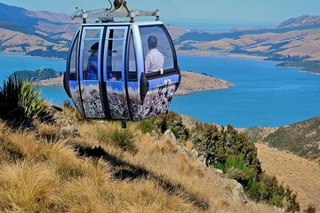 Christchurch Gondola Ride Ticket