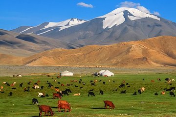Best of Mongolian tour 7 days