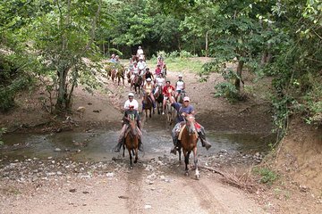Horseback Riding River swimming From Bayahibe