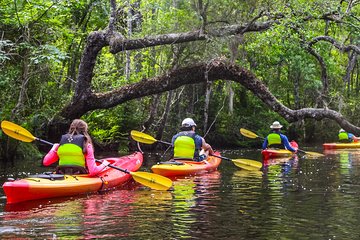 Amelia Island Guided Kayak Tour of Lofton Creek