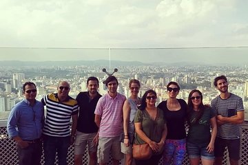 Private São Paulo Tour with Ibirapuera Park, Paulista Av and Downtown Visit