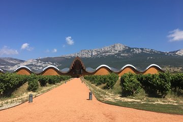 The Essential Rioja Tour of 3 Premium Wineries from Bilbao