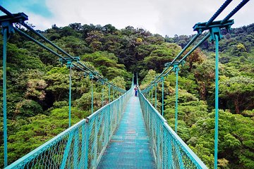 Monteverde Hanging Bridges Day Trip from San Jose