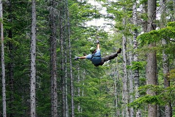 Grizzly Falls Ziplining Expedition