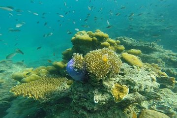 Oneday Tour 4 Islands and Emerald Cave By Tin Adventure Sea Tour from Koh Lanta