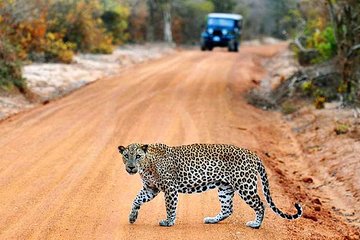 2 Day Private Tour of Yala & Udawalawe (Double Safari Tour) - All Inclusive