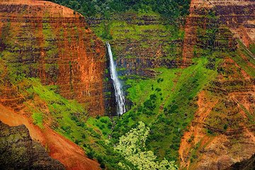Kauai Waimea Canyon and Forest Tour with Lunch