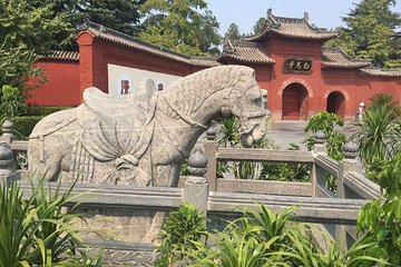 Private Day Tour to Longmen Grottoes, Luoyang Museum and White Horse Temple