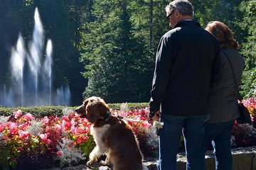 Victoria and Butchart Gardens Tour from Vancouver