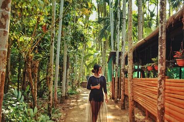 CULTURAL & HISTORIC DAY TOUR ATTRACTIONS - Churches, Temples & Spice Plantation