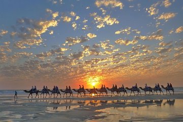 1 Hour Broome Sunset Camel Tour