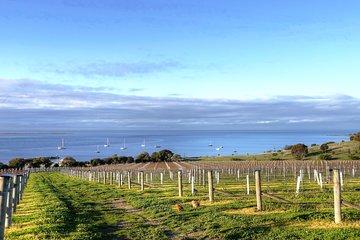 Kangaroo Island Shore Excursion Tasting Tour - For Cruise Ship Passengers Only