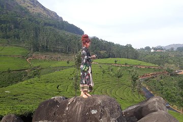 Tea Plantation Walk with Sunset View (By Munnar Info)