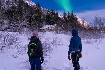 Svolvær snowshoes walk by night