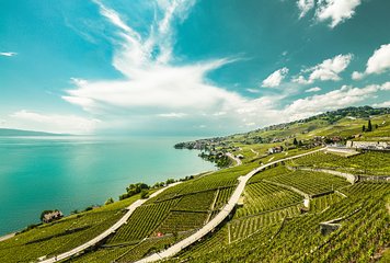 Vevey, Montreux, Chillon Day Trip from Geneva