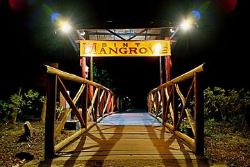 Bintan Fireflies Discovery Tour